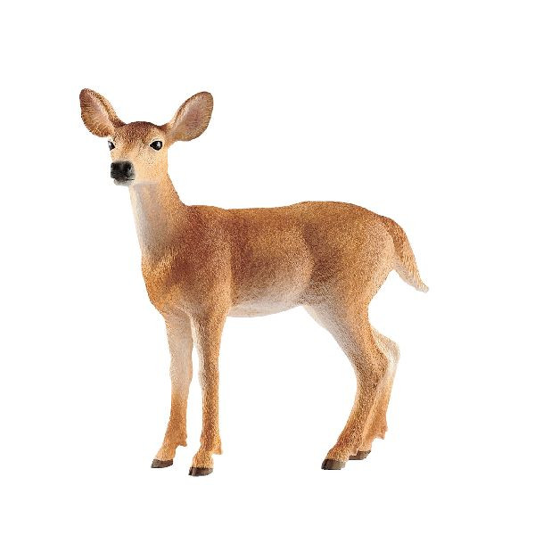 Schleich 14819 Wild Life - Witstaart Hinde
