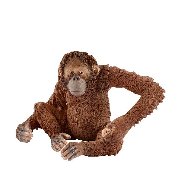 Schleich14775 Wild Life - Orang-Oetan Vrouwtje

