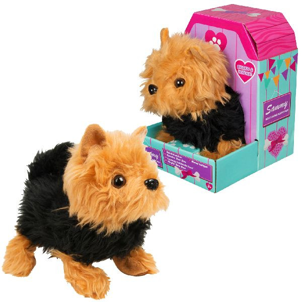 Walk Along Fluffy Pup