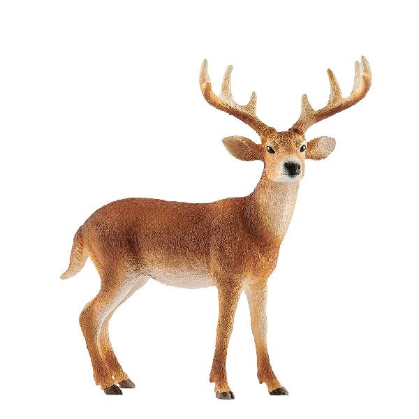 Schleich 14818 Wild Life - Witstaarthert