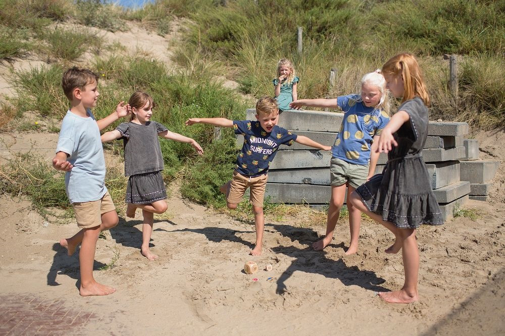 BS Toys Vogels in Actie - Hout - Kinderspel