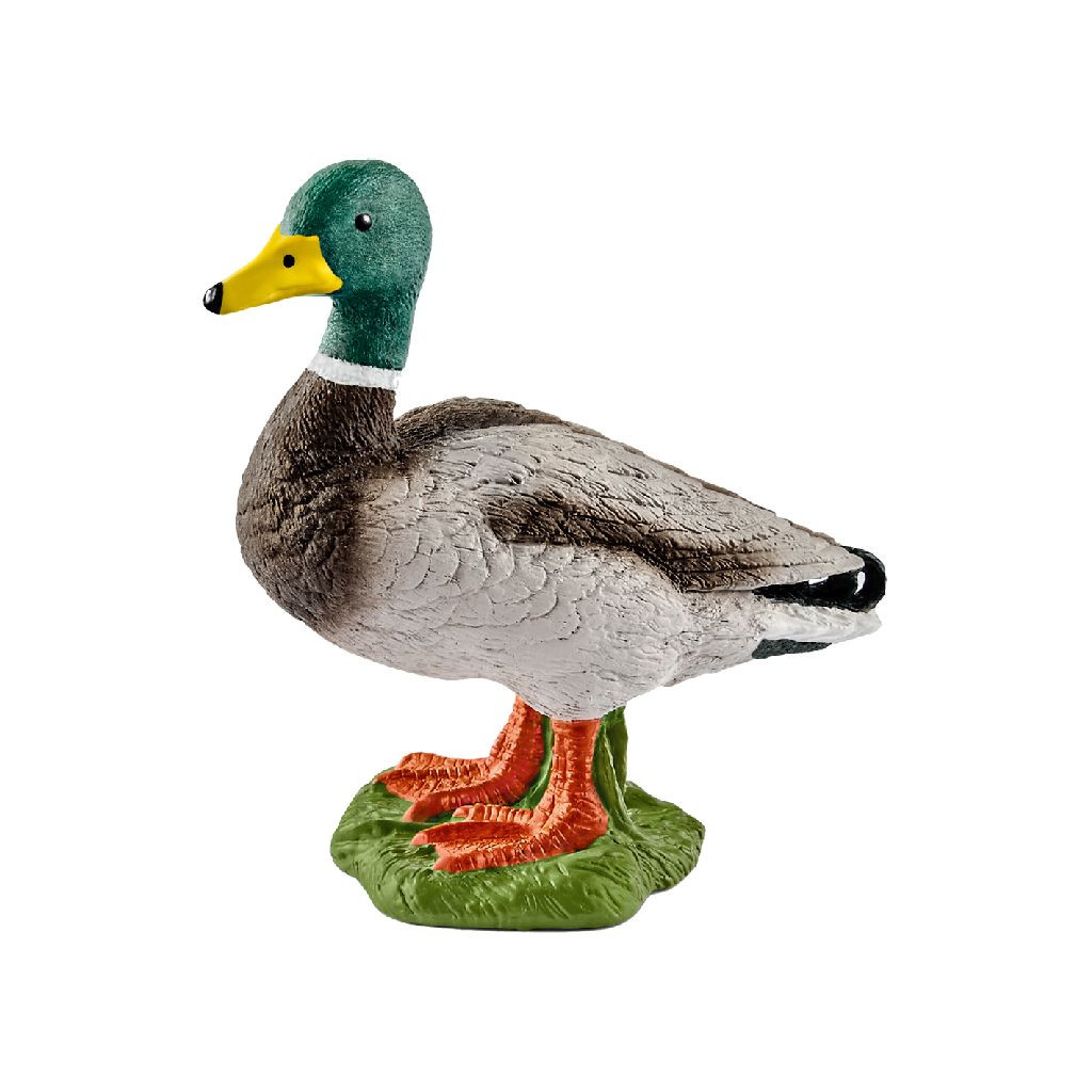 Schleich 13824 Farm World - Eend