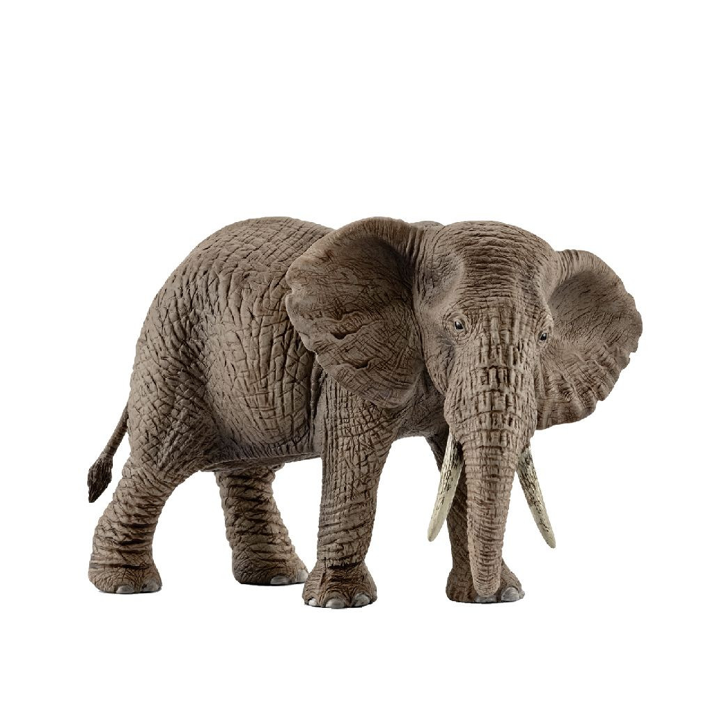 Schleich 14761 Wild Life - Afrikaanse Olifantenkoe
