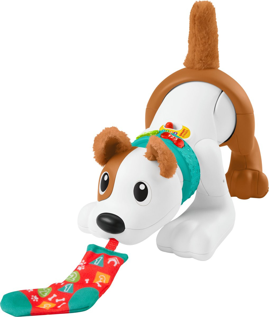 Fisher-Price 123 Kruip met Mij Puppy 