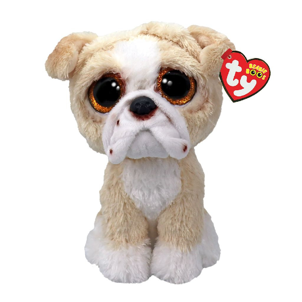 Ty Beanie Boo - Pooch English Bull - 15 cm