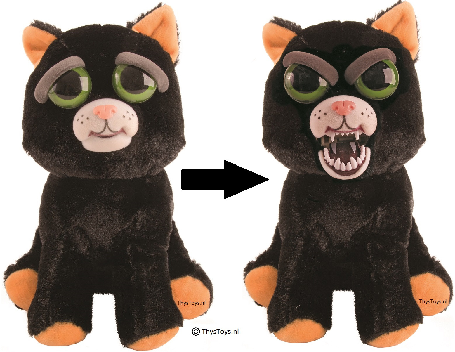 Feisty Pets - Black Cat - Katy Cobweb