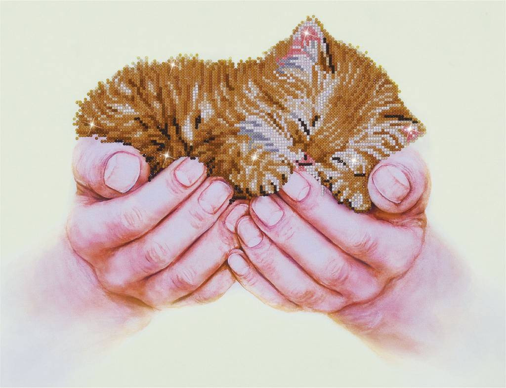 Precious Kitten Diamond Dotz: 52x40 cm